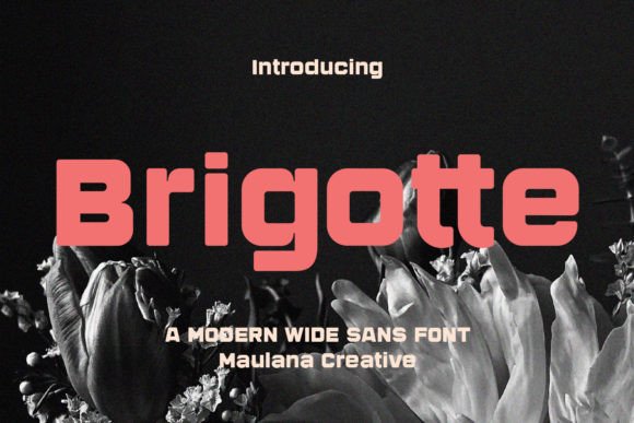 Brigotte: A Bold Display Font That Made My Website Hero Section Work